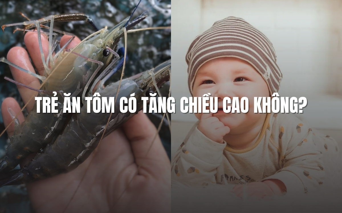 Trẻ ăn tôm có tăng chiều cao hay không