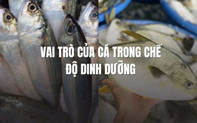 Vai trò của cá trong chế độ dinh dưỡng