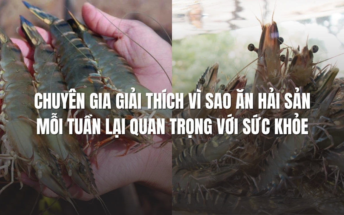 Vì sao nên ăn hải sản mỗi tuần lại quan trọng với sức khỏe