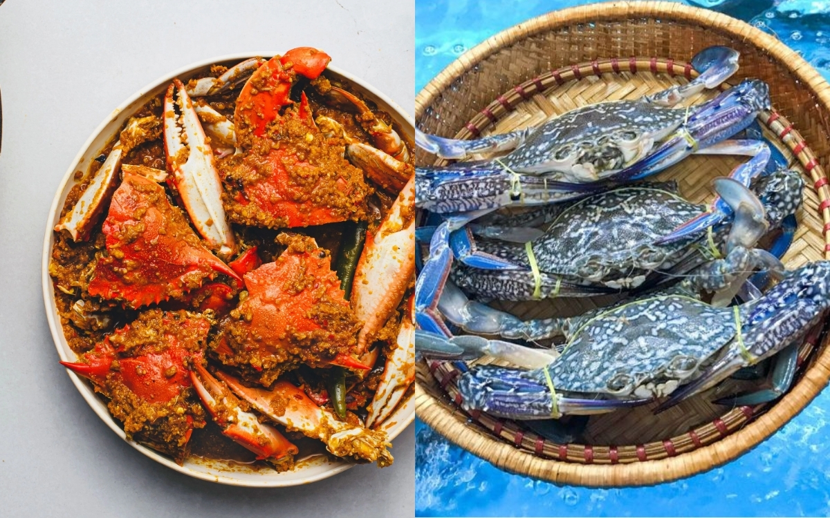 Ăn Hải Sản Mỗi Tuần Mang Lại Những Lợi Ích Toàn Diện Cho Sức Khỏe