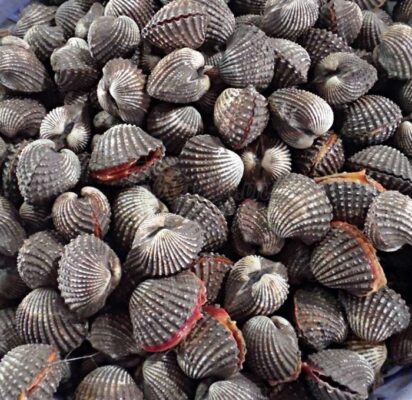 Hải Sản Giàu Protein
