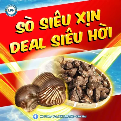 Sò siêu xịn deal siêu hời