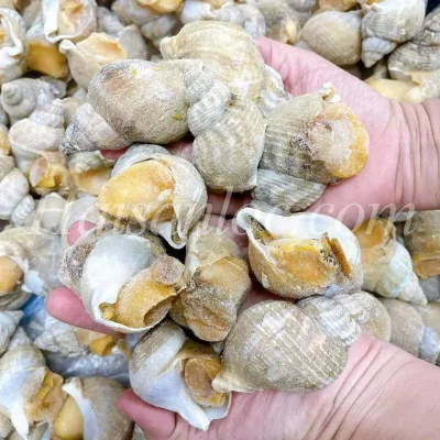 Hải sản dễ bán, ổn định