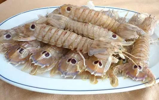 Tôm tích, bề bề