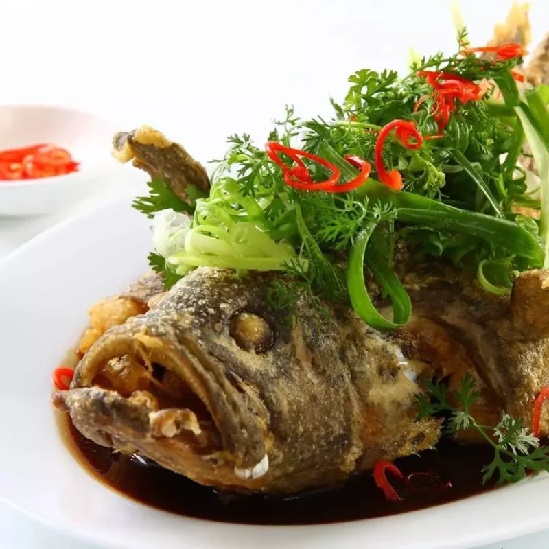 Hải sản cá mú, cá song biển