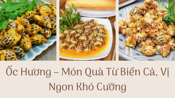 Hình ảnh các món ăn với ốc hương