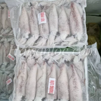 Hải Sản Đông Lạnh Giá Sỉ mực trứng