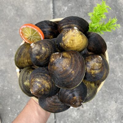 Bí Kiếp Tìm Nguồn Hàng 