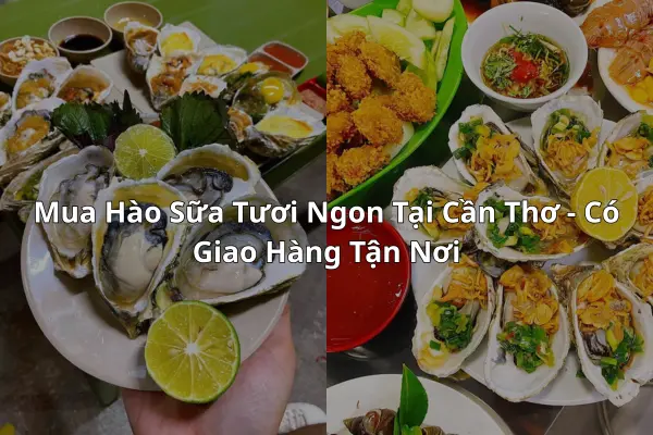 Mua Hào Sữa Tươi Ngon Tại Cần Thơ - Có Giao Hàng Tận Nơi