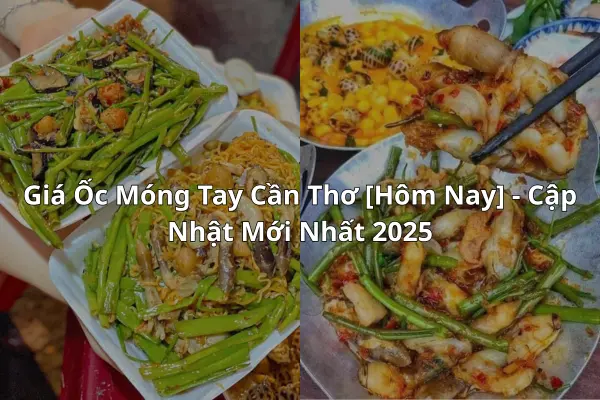 Giá Ốc Móng Tay Cần Thơ [Hôm Nay] - Cập Nhật Mới Nhất 2025