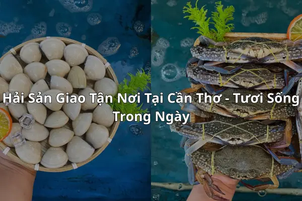 Hải Sản Giao Tận Nơi Tại Cần Thơ - Tươi Sống Trong Ngày