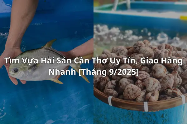 Tìm Vựa Hải Sản Cần Thơ Uy Tín, Giao Hàng Nhanh [Tháng 9/2025]