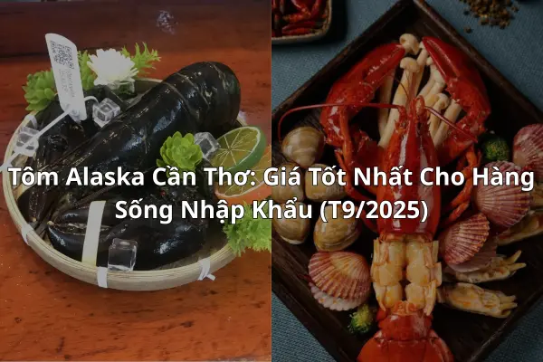 Tôm Alaska Cần Thơ: Giá Tốt Nhất Cho Hàng Sống Nhập Khẩu (T9/2025)
