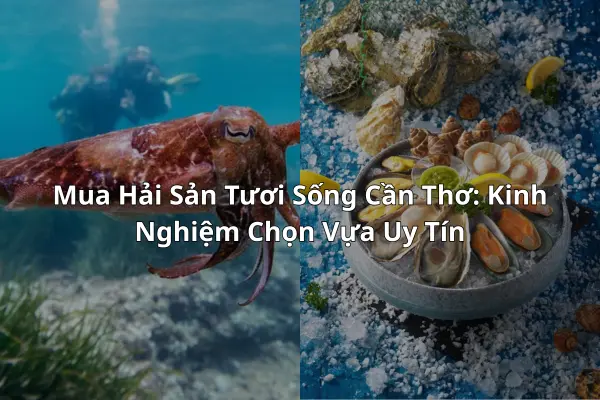 Mua Hải Sản Tươi Sống Cần Thơ: Kinh Nghiệm Chọn Vựa Uy Tín