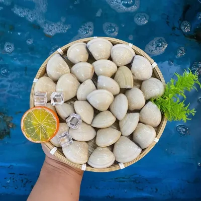 Bên Trong Dịch Vụ Giao Hải Sản Chuyên Nghiệp Của Chúng Tôi