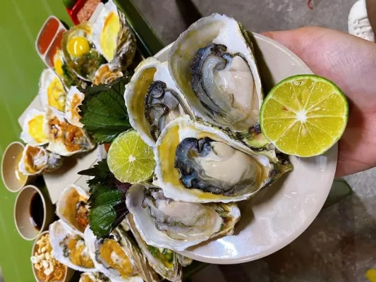 Tìm Mua Hào Sữa Tươi Ngon Tại Cần Thơ
