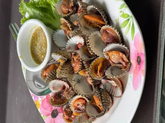 Hải Sản Lộc - Cung cấp sò huyết sống, giá tốt