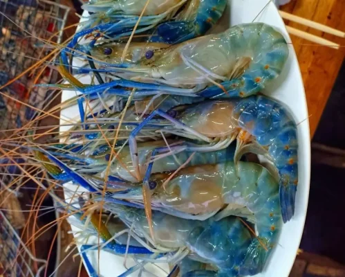 Tiền nào của nấy