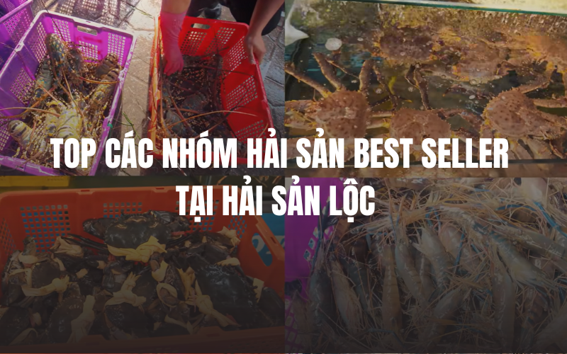 ANH BAI VIET HSL CTY 18