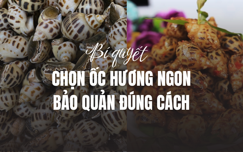 ANH BAI VIET HSL CTY 3