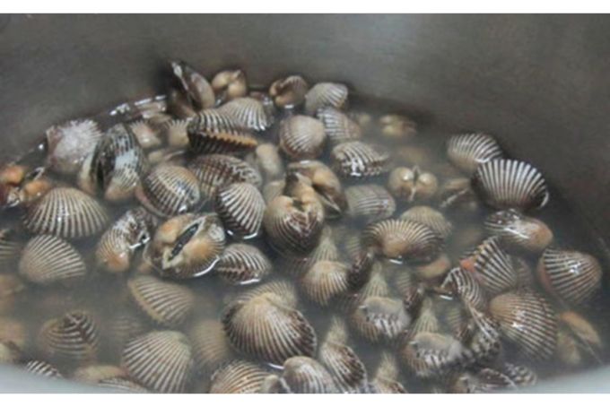 Bảo Quản Sò Huyết Bằng Cách Ngâm Nước