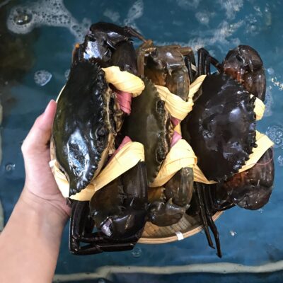 Cua Cà Mau Đỉnh Cao Tại Hải Sản Lộc