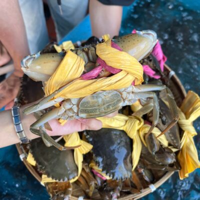 Cua Gạch Chất Lượng Miễn Bàn Luôn Sẵn Sàng Tại Hải Sản Lộc