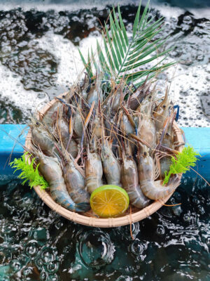 hệ thống hồ sục oxy sủi bọt trắng xóa