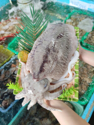 Mực nang lớn tươi roi rói