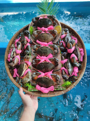 Cua Cà Mau Bơi Hồ