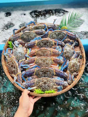 Ghẹ Xanh Tuyệt Phẩm Chất Lượng Uy Tín Tại Hải Sản Lộc