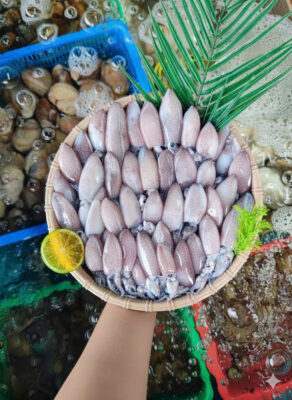 Mực Ống Nhỏ