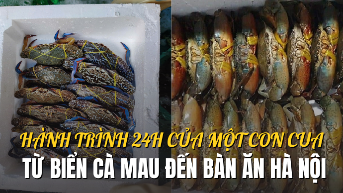 Cua Vào Thùng Xốp