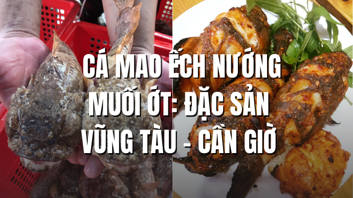 Cá Mao Ếch