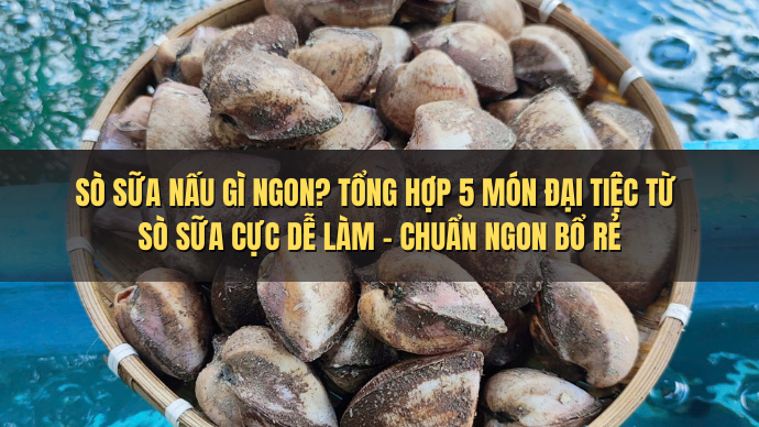 Sò Sữa Làm Món Gì Ngon