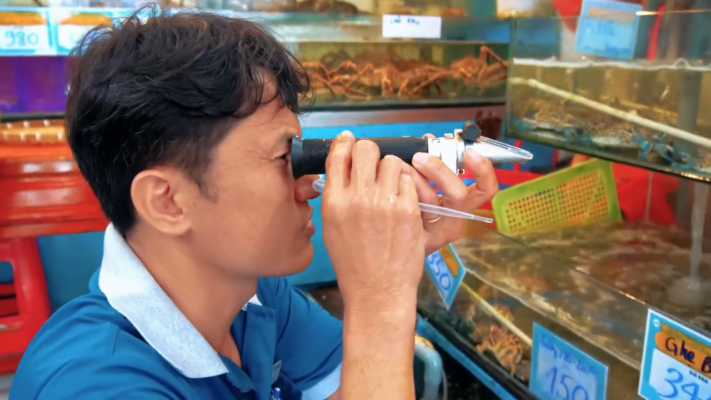 Hải Sản Tươi Sống: Bí Quyết Chọn Lựa, Bảo Quản Và Địa Điểm Mua Uy Tín Nhất