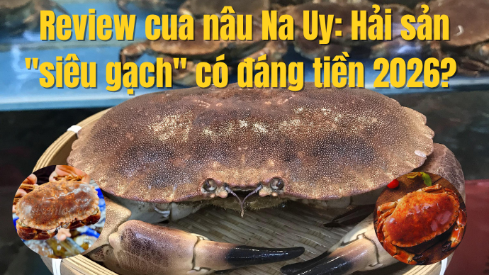 Cua Nâu Na Uy