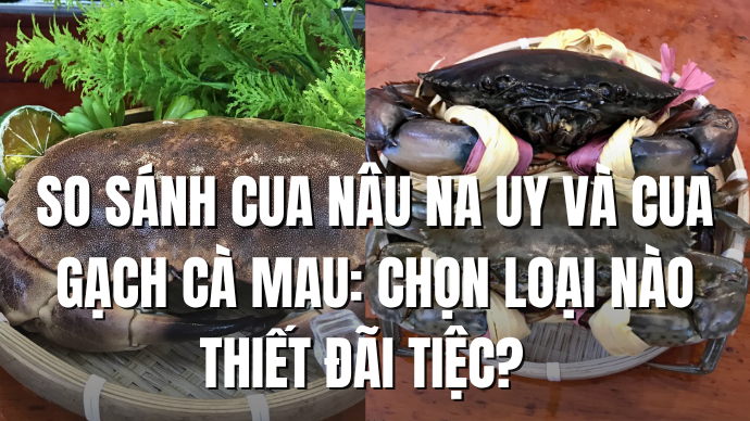 So sánh Cua nâu Na Uy và Cua gạch Cà Mau: Chọn loại nào thiết đãi tiệc?