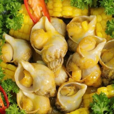 Ốc Bulot Nhập Khẩu Tại Cần Thơ: Bảng Giá, Dinh Dưỡng & Bí Quyết Chế Biến Đẳng Cấp