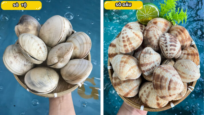 Bảng Giá Hải Sản Hôm Nay 20/04/2026 Tại Hệ Thống Vựa Hải Sản Lộc Cần Thơ