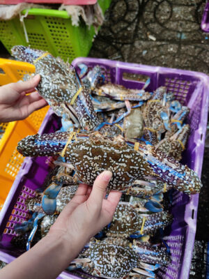 Chọn Ghẹ Siêu To, Siêu Ngon, Bắt Sống tại hồ Tại Hải Sản Lộc