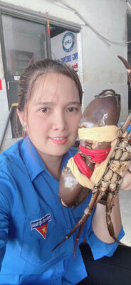 Cua Thịt Cà Mau Siêu To Siêu Chắc