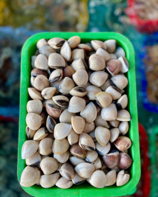 Nghêu Trắng Gò Công sạch cát giá rẻ Cần Thơ. Bảng giá hải sản hôm nay 19/04