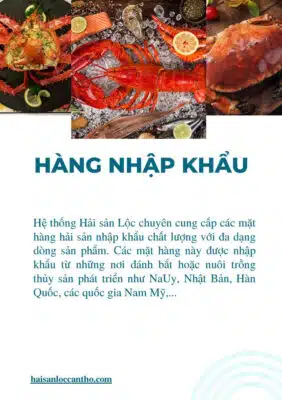 Hải Sản Nhập Khẩu Cần Thơ: Tinh Hoa Đại Dương Chính Ngạch