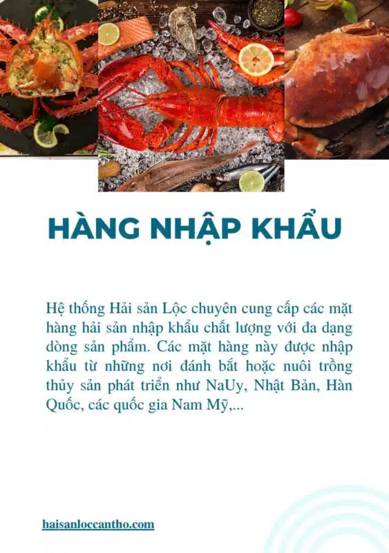 Hải Sản Nhập Khẩu Cần Thơ: Tinh Hoa Đại Dương Chính Ngạch