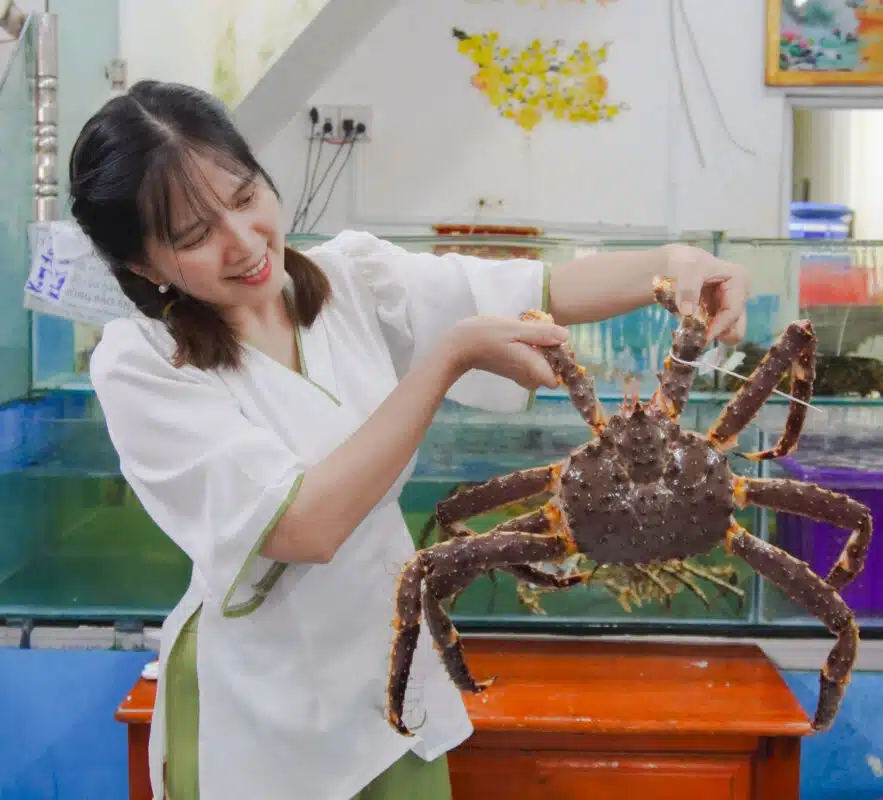 5 Bí Quyết Chọn Cua Hoàng Đế Chắc Thịt 100% & Giá 2026