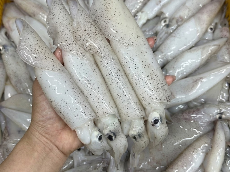 hai sản theo mùa tháng 7