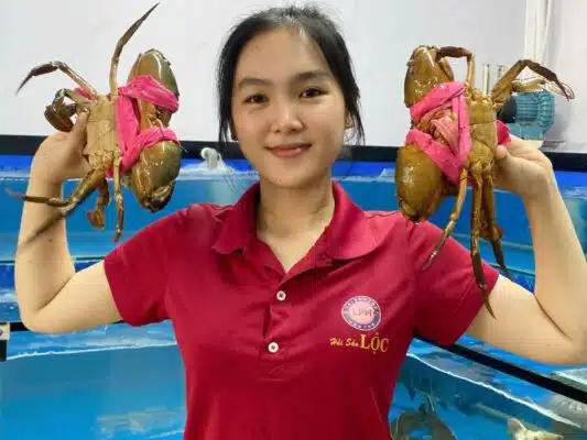 Cua biển Năm Căn, Cua Cà Mau giá rẻ