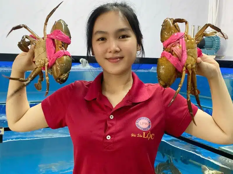 Cua biển Năm Căn, Cua Cà Mau giá rẻ