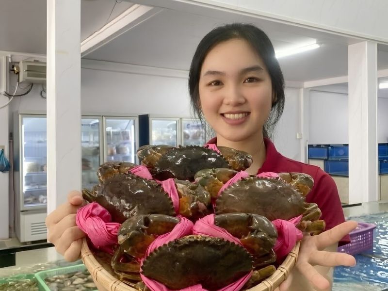 Cua biển năm căn giá rẻ